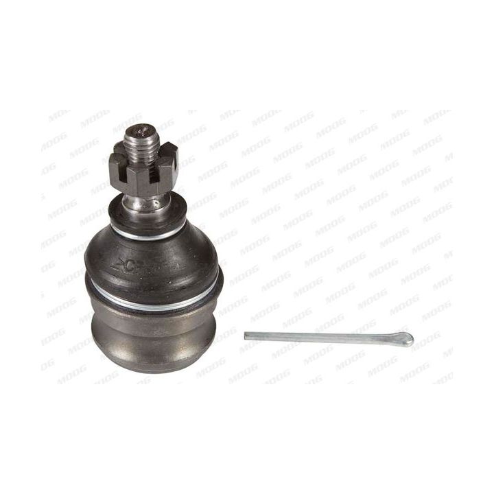 Šarnyras / girgždukas MOOG HY-BJ-1614