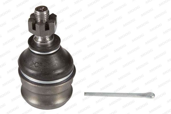 Šarnyras / girgždukas MOOG HY-BJ-1614