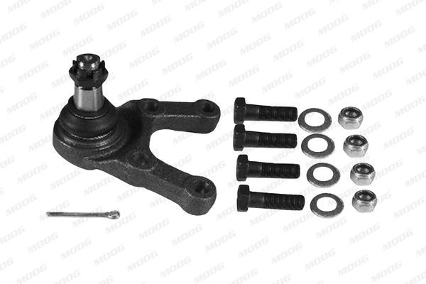 Šarnyras / girgždukas MOOG HY-BJ-1658