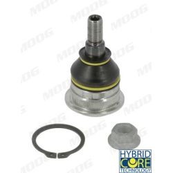 Šarnyras / girgždukas MOOG HY-BJ-17350