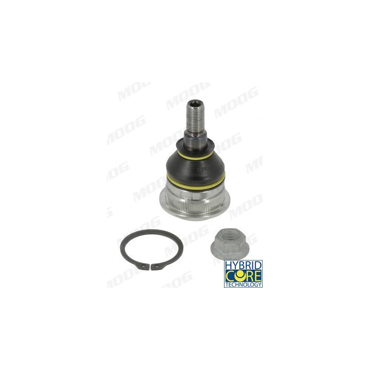 Šarnyras / girgždukas MOOG HY-BJ-17350