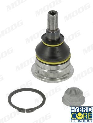 Šarnyras / girgždukas MOOG HY-BJ-17350