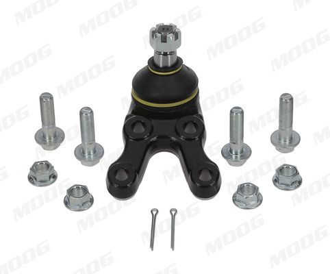 Šarnyras / girgždukas MOOG HY-BJ-2596