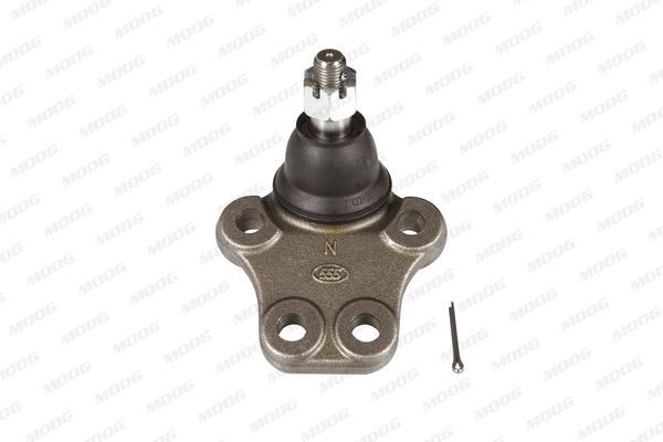 Šarnyras / girgždukas MOOG IS-BJ-10054