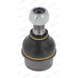 Šarnyras / girgždukas MOOG IV-BJ-16523