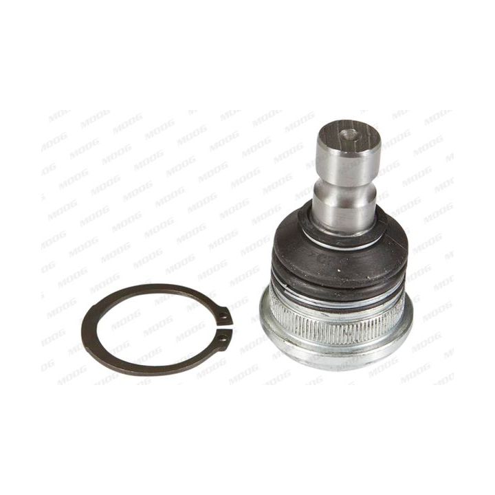 Šarnyras / girgždukas MOOG KI-BJ-12659