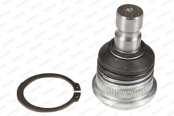 Šarnyras / girgždukas MOOG KI-BJ-12659