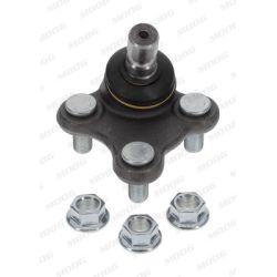 Šarnyras / girgždukas MOOG KI-BJ-16570