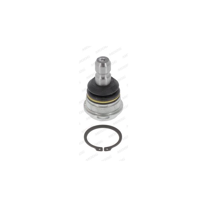 Šarnyras / girgždukas MOOG KI-BJ-17053