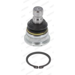 Šarnyras / girgždukas MOOG KI-BJ-17054