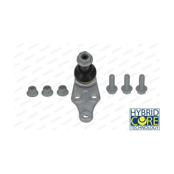 Šarnyras / girgždukas MOOG LR-BJ-1928