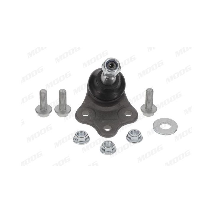 Šarnyras / girgždukas MOOG LR-BJ-8089