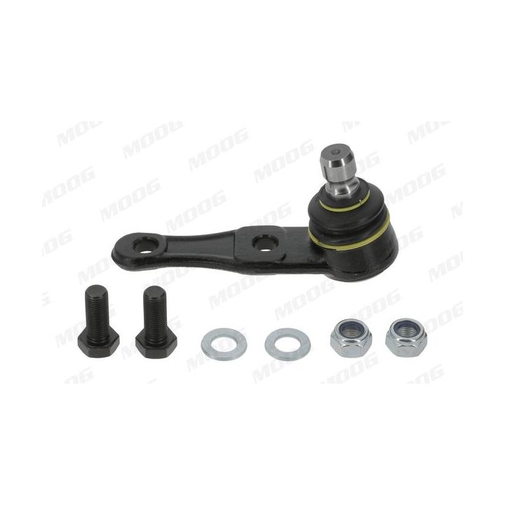 Šarnyras / girgždukas MOOG MD-BJ-0747