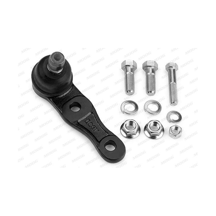 Šarnyras / girgždukas MOOG MD-BJ-0747