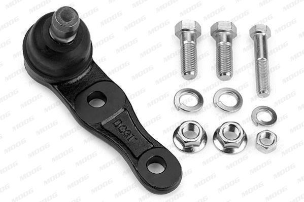 Šarnyras / girgždukas MOOG MD-BJ-0747