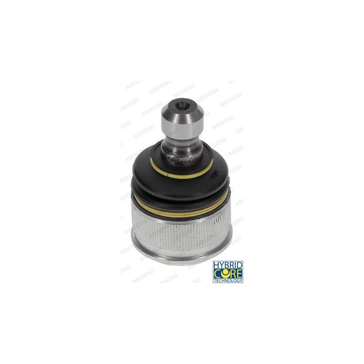 Šarnyras / girgždukas MOOG MD-BJ-104144