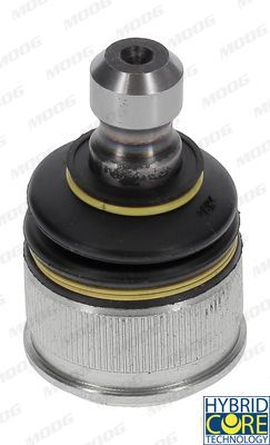 Šarnyras / girgždukas MOOG MD-BJ-104144