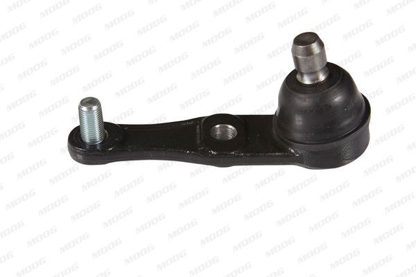 Šarnyras / girgždukas MOOG MD-BJ-104147