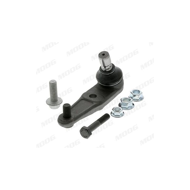 Šarnyras / girgždukas MOOG MD-BJ-104185