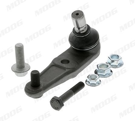 Šarnyras / girgždukas MOOG MD-BJ-104185