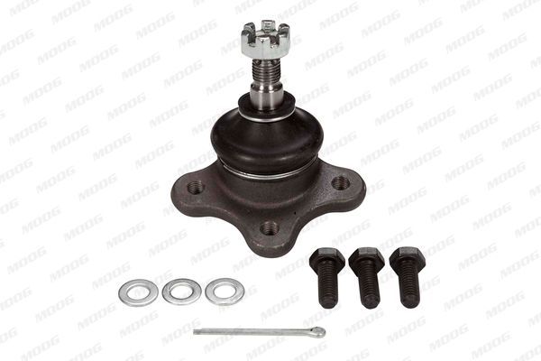 Šarnyras / girgždukas MOOG MD-BJ-10688