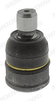 Šarnyras / girgždukas MOOG MD-BJ-13905