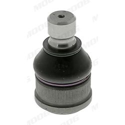 Šarnyras / girgždukas MOOG MD-BJ-13931