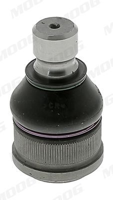 Šarnyras / girgždukas MOOG MD-BJ-13931