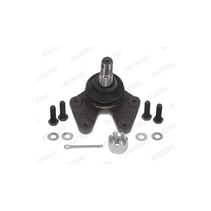 Šarnyras / girgždukas MOOG MD-BJ-1618