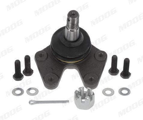 Šarnyras / girgždukas MOOG MD-BJ-1618