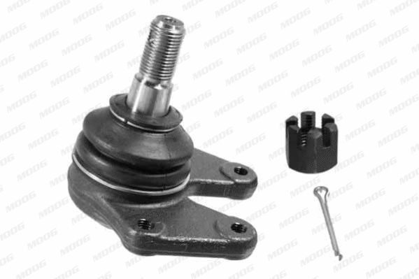 Šarnyras / girgždukas MOOG MD-BJ-1618