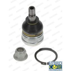 Šarnyras / girgždukas MOOG MD-BJ-2291