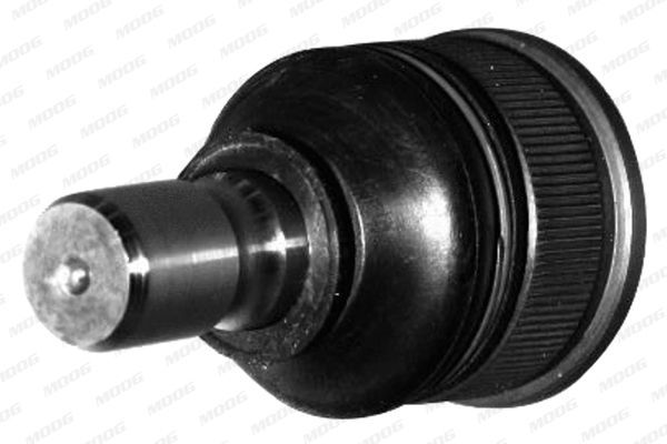 Šarnyras / girgždukas MOOG MD-BJ-2327