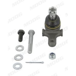 Šarnyras / girgždukas MOOG MD-BJ-2703