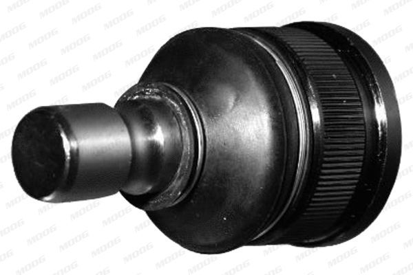 Šarnyras / girgždukas MOOG MD-BJ-2711