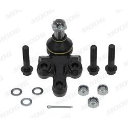 Šarnyras / girgždukas MOOG MD-BJ-3935