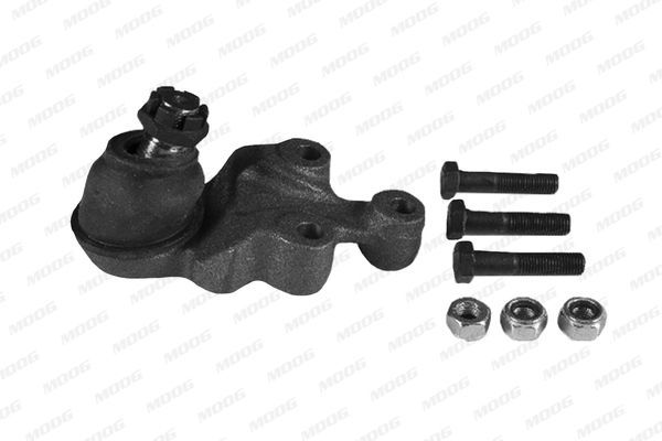 Šarnyras / girgždukas MOOG MD-BJ-3935