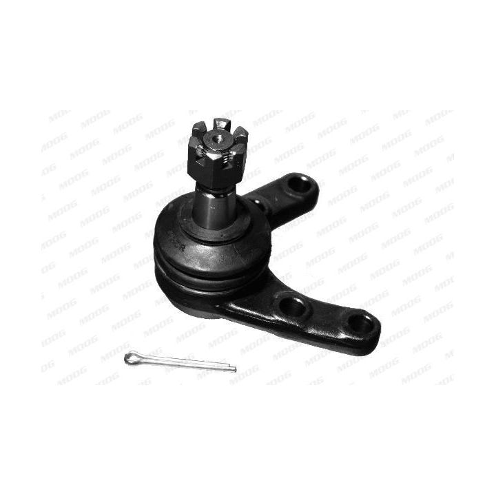 Šarnyras / girgždukas MOOG MD-BJ-5168