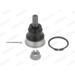 Šarnyras / girgždukas MOOG ME-BJ-17468