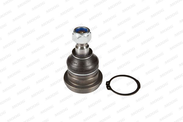 Šarnyras / girgždukas MOOG MI-BJ-0350