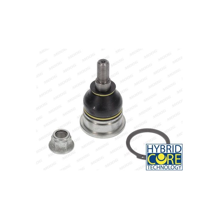 Šarnyras / girgždukas MOOG MI-BJ-10371