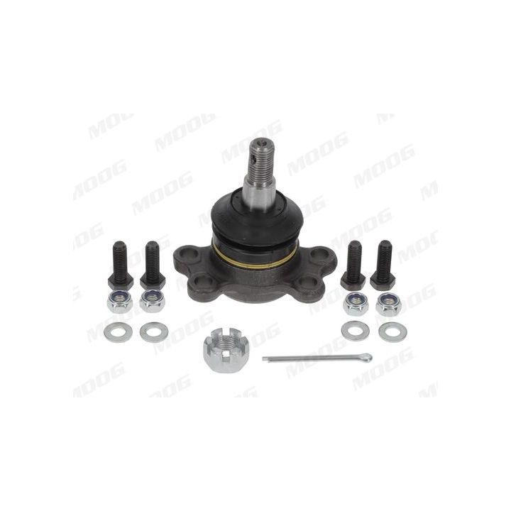 Šarnyras / girgždukas MOOG OP-BJ-0177