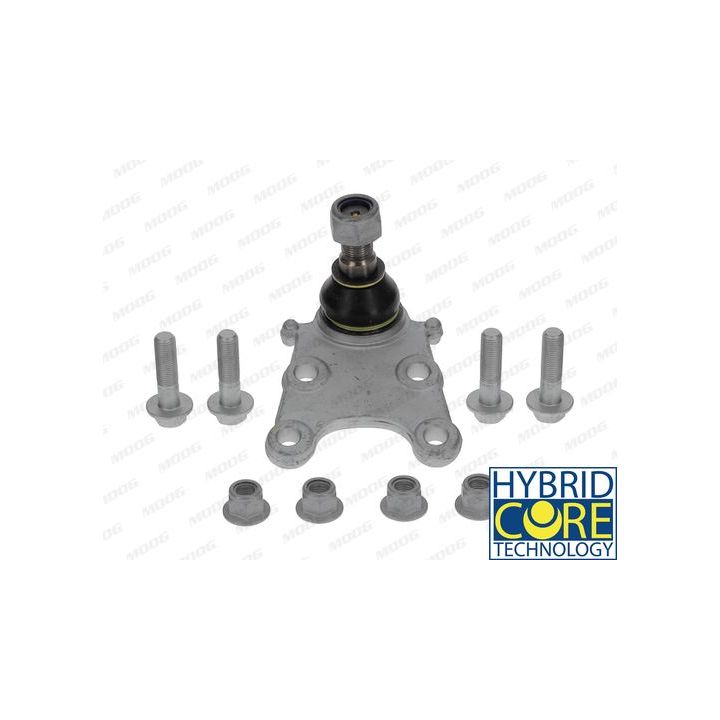 Šarnyras / girgždukas MOOG OP-BJ-1504