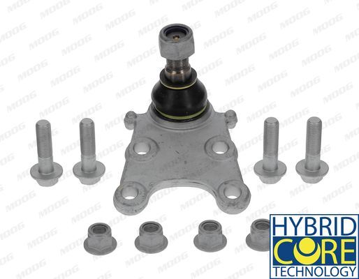 Šarnyras / girgždukas MOOG OP-BJ-1504