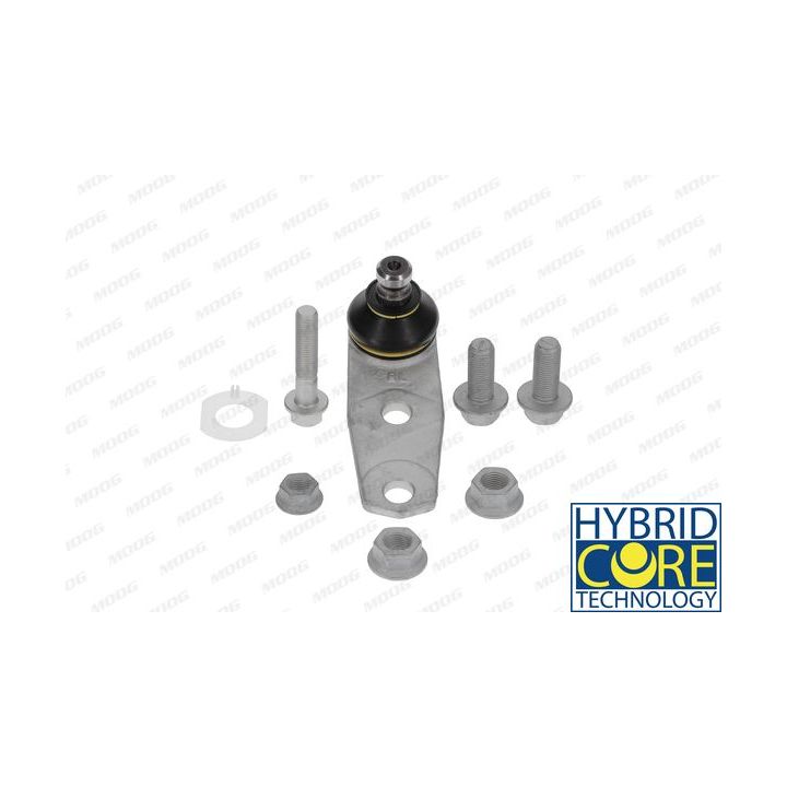 Šarnyras / girgždukas MOOG RE-BJ-0811