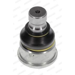 Šarnyras / girgždukas MOOG RE-BJ-1040