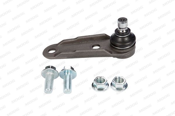 Šarnyras / girgždukas MOOG RE-BJ-10718