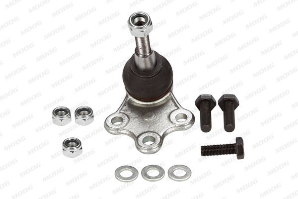 Šarnyras / girgždukas MOOG RE-BJ-12595