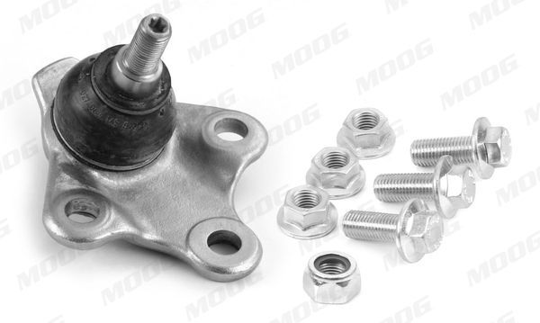Šarnyras / girgždukas MOOG RE-BJ-17429
