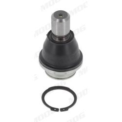 Šarnyras / girgždukas MOOG RE-BJ-17548